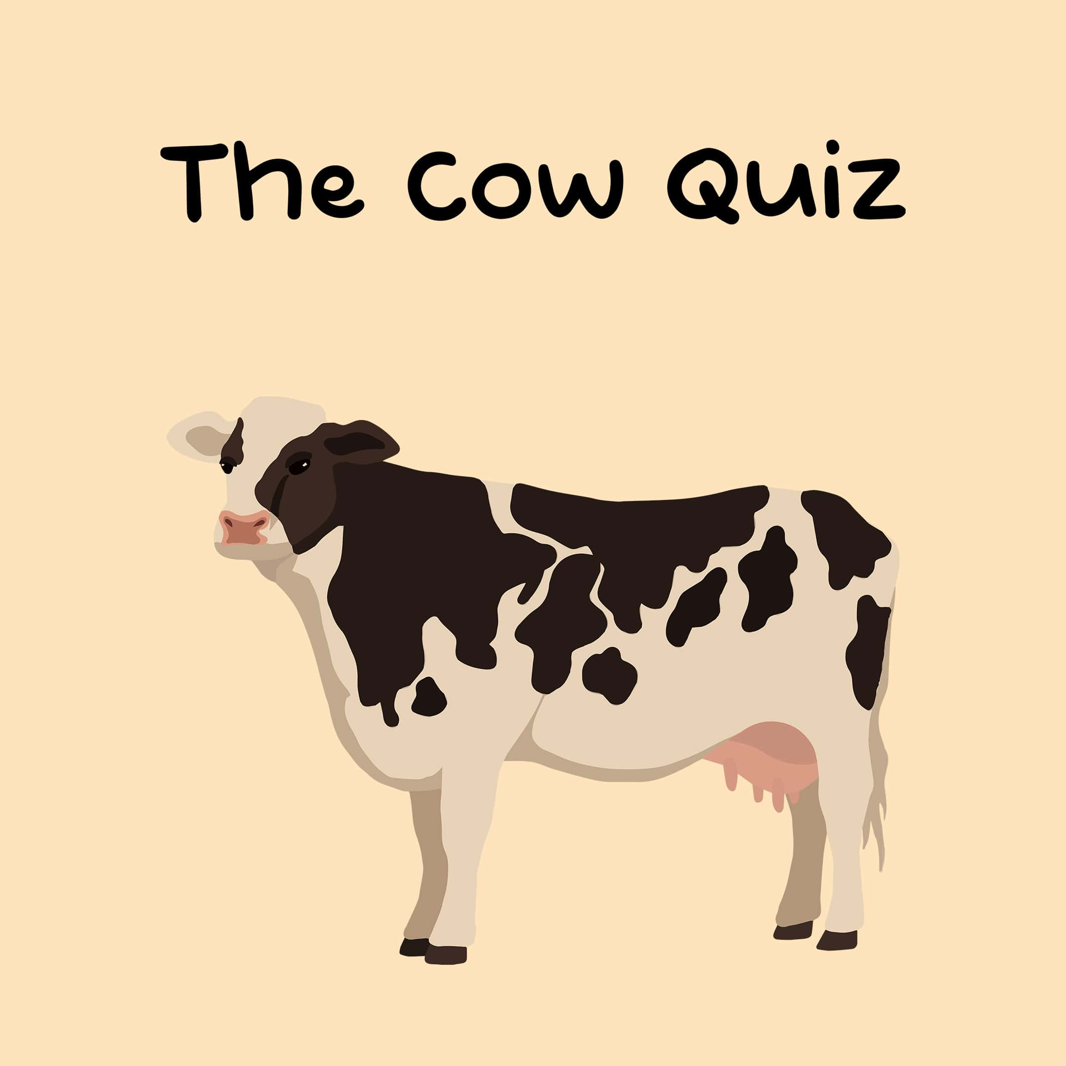 The Cow Quiz game - Test your knowledge with fun cow-themed quizzes.