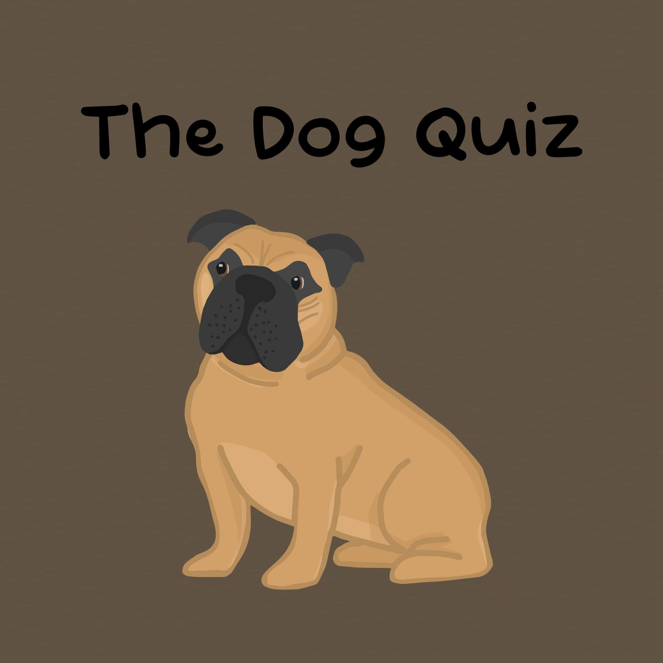 The Dog Quiz game - Test your knowledge with fun dog-themed quizzes.