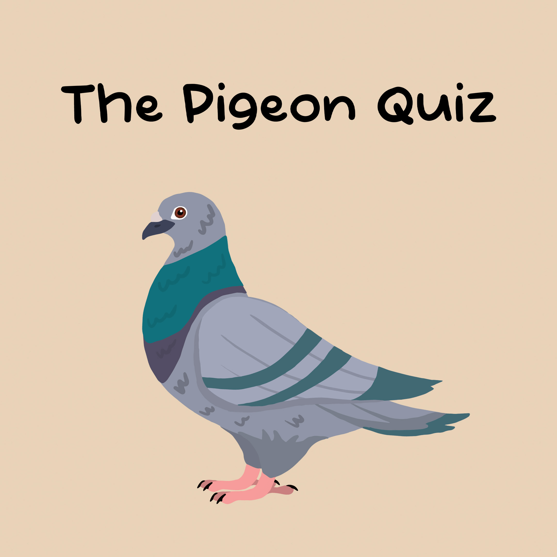 The Pigeon Quiz game - Test your knowledge with fun pigeon-themed quizzes.