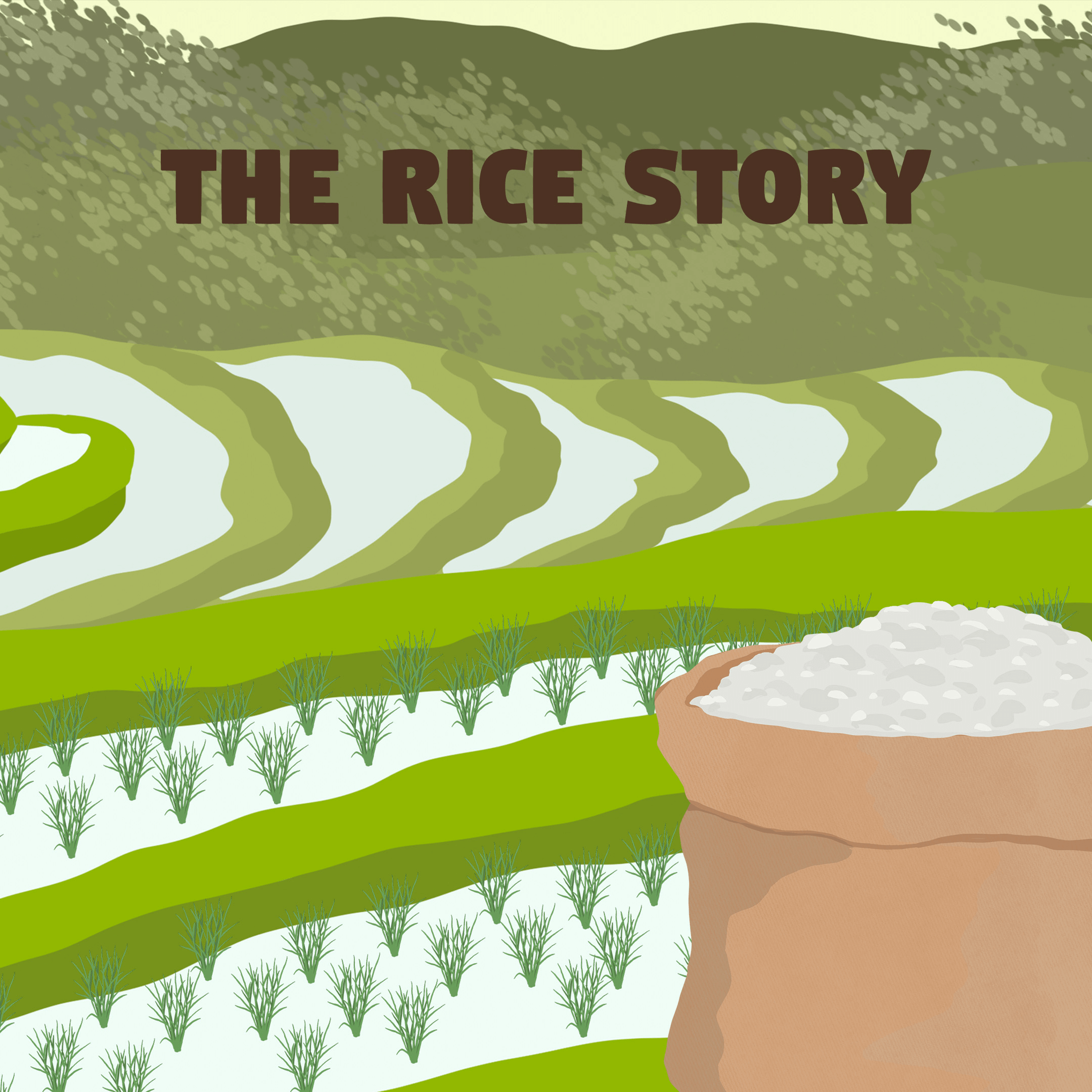 The Rice Story simulation game - Explore rice cultivation in this immersive game.