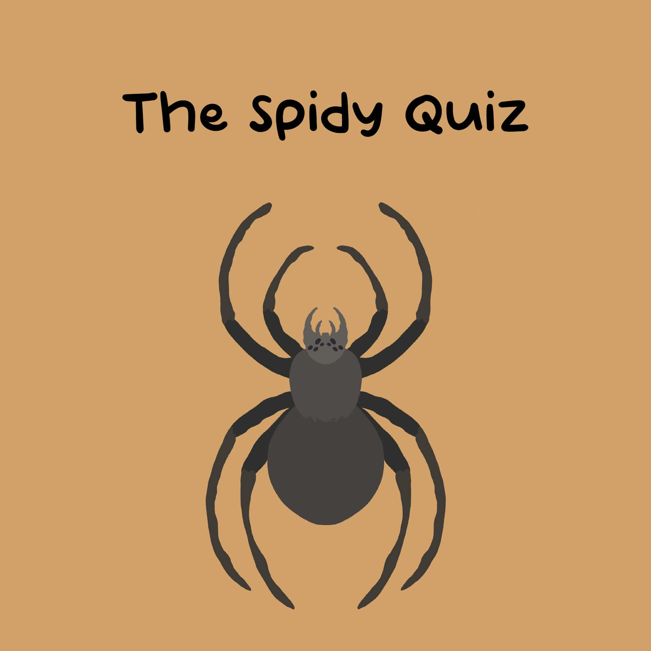 The Spidy Quiz game - Test your knowledge with fun spider-themed quizzes.