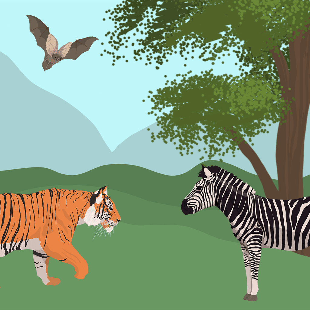 Webnetic s. r. o. Vacation Notice: Ensuring Continuity in Game Development & Publishing