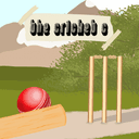 The Cricket C