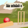 The Cricket C game - Play exciting cricket matches and improve your skills.