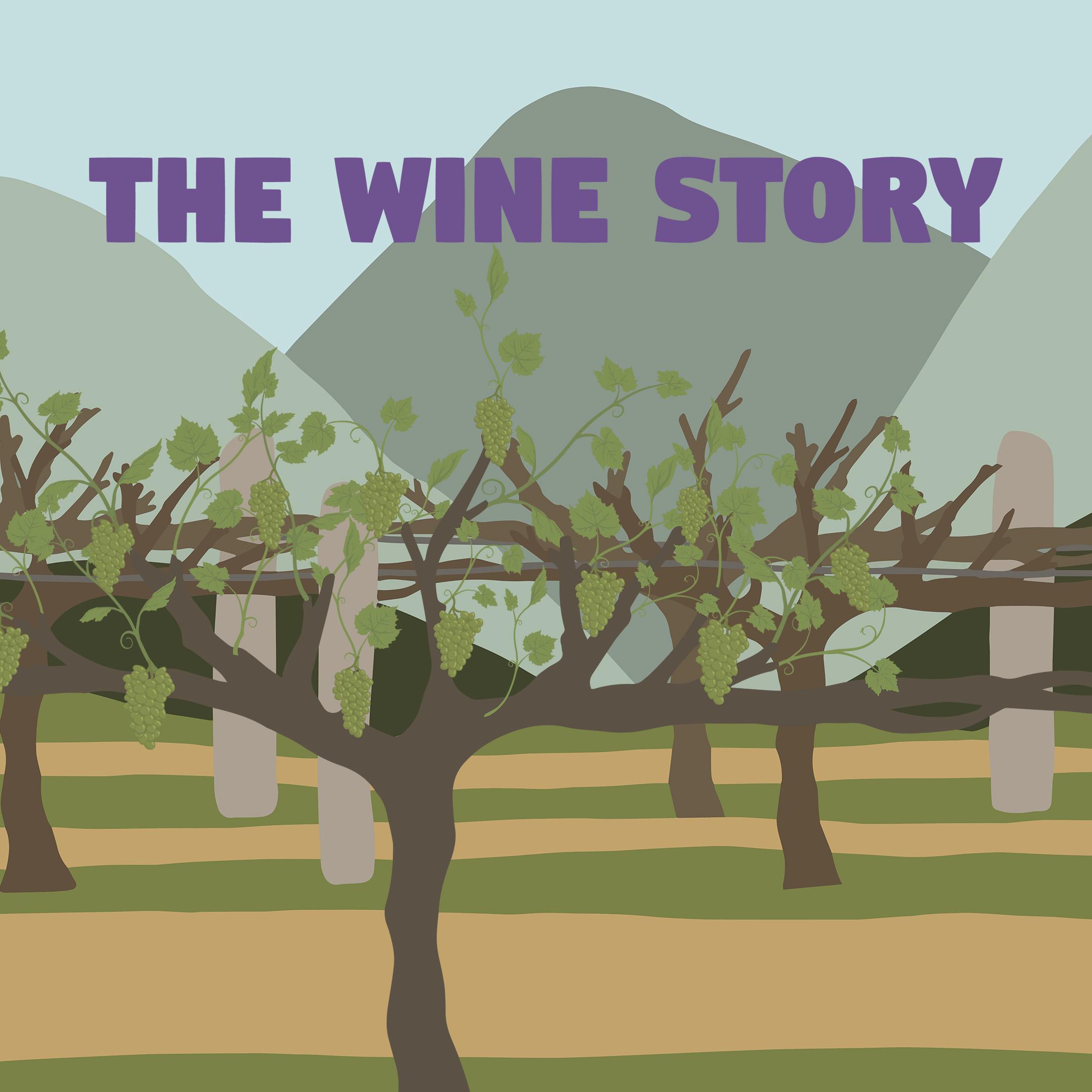 The Wine Story icon