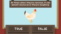 The Chicken Quiz game level with chicken theme