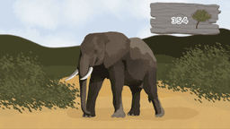 Left Right interactive game with directions