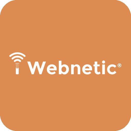 Webnetic company logo