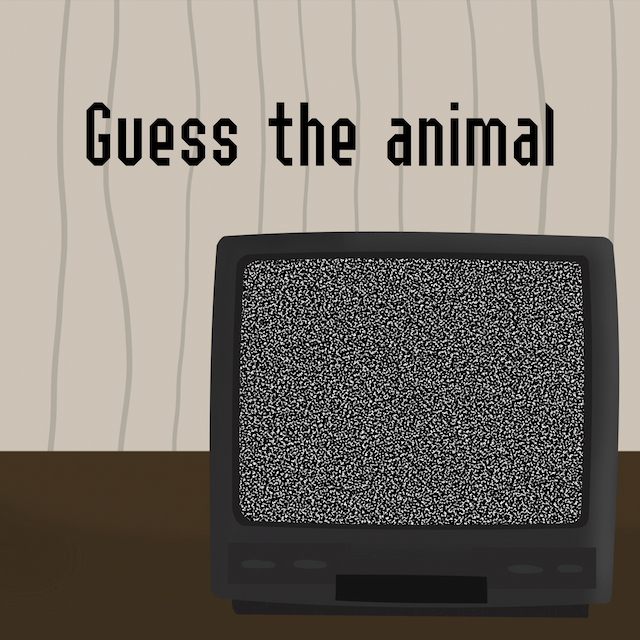 Guess the Animal