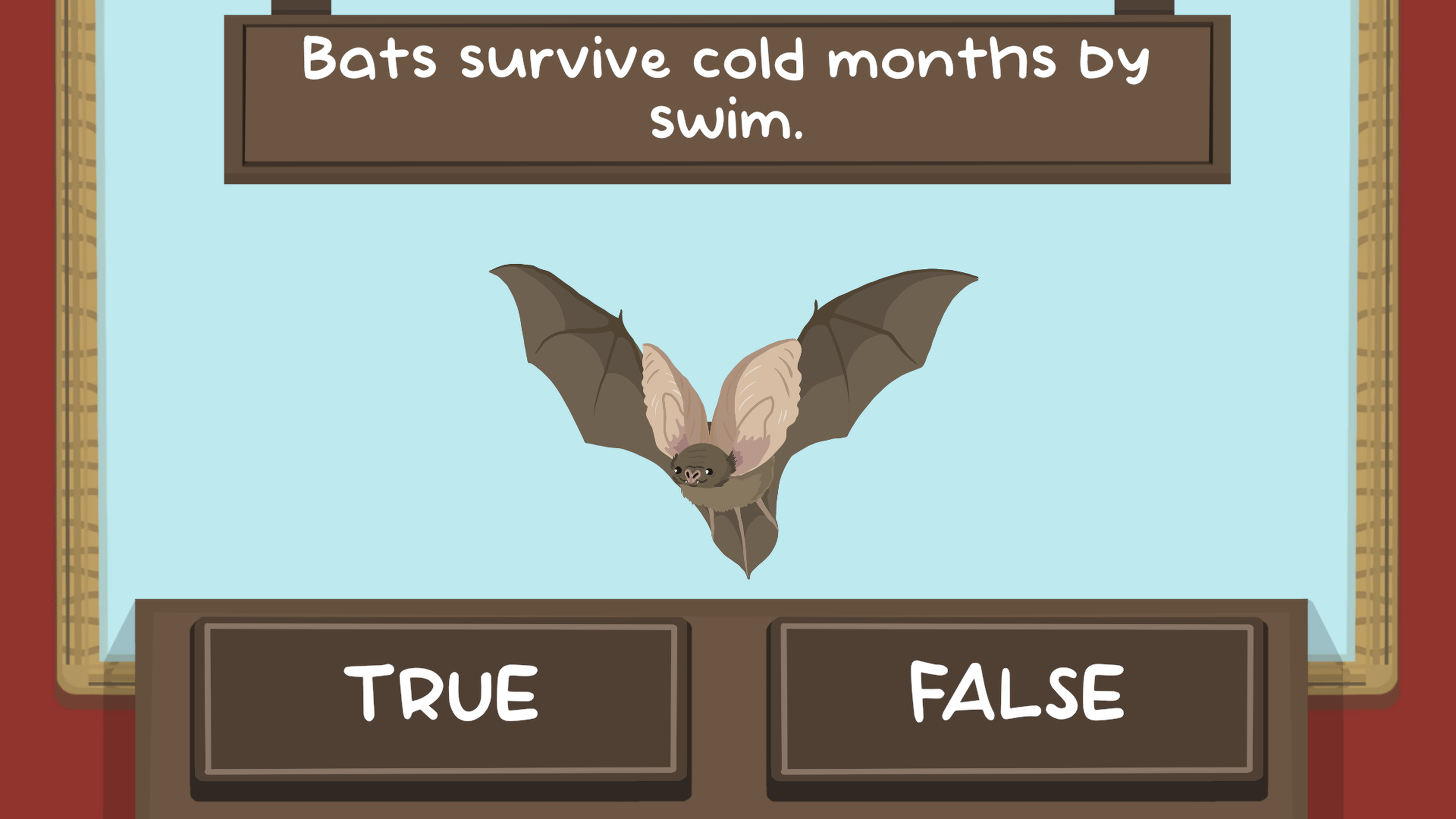 The Bat Quiz game level showcasing bat quiz challenges