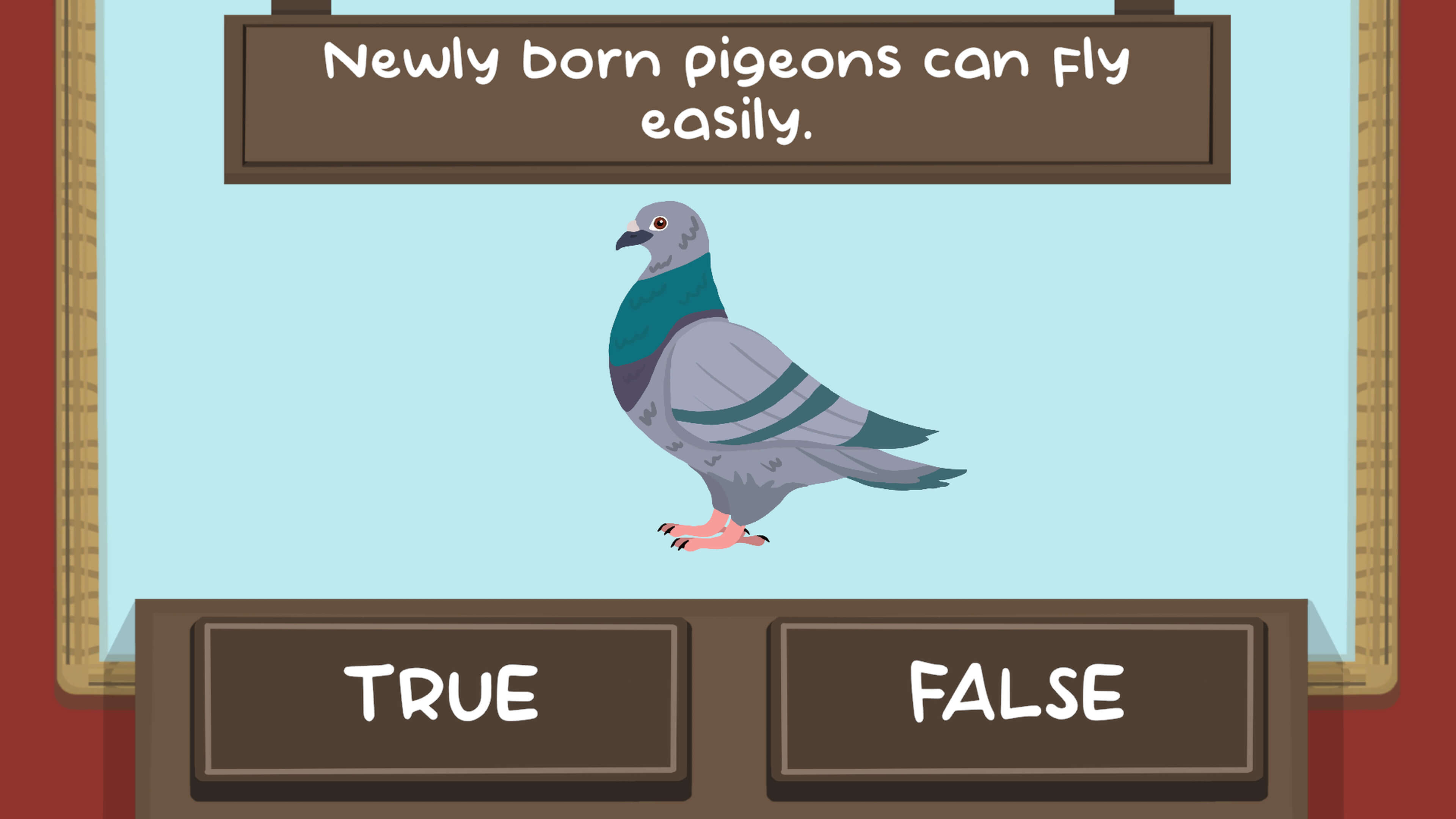 The Pigeon Quiz interactive game featuring pigeons