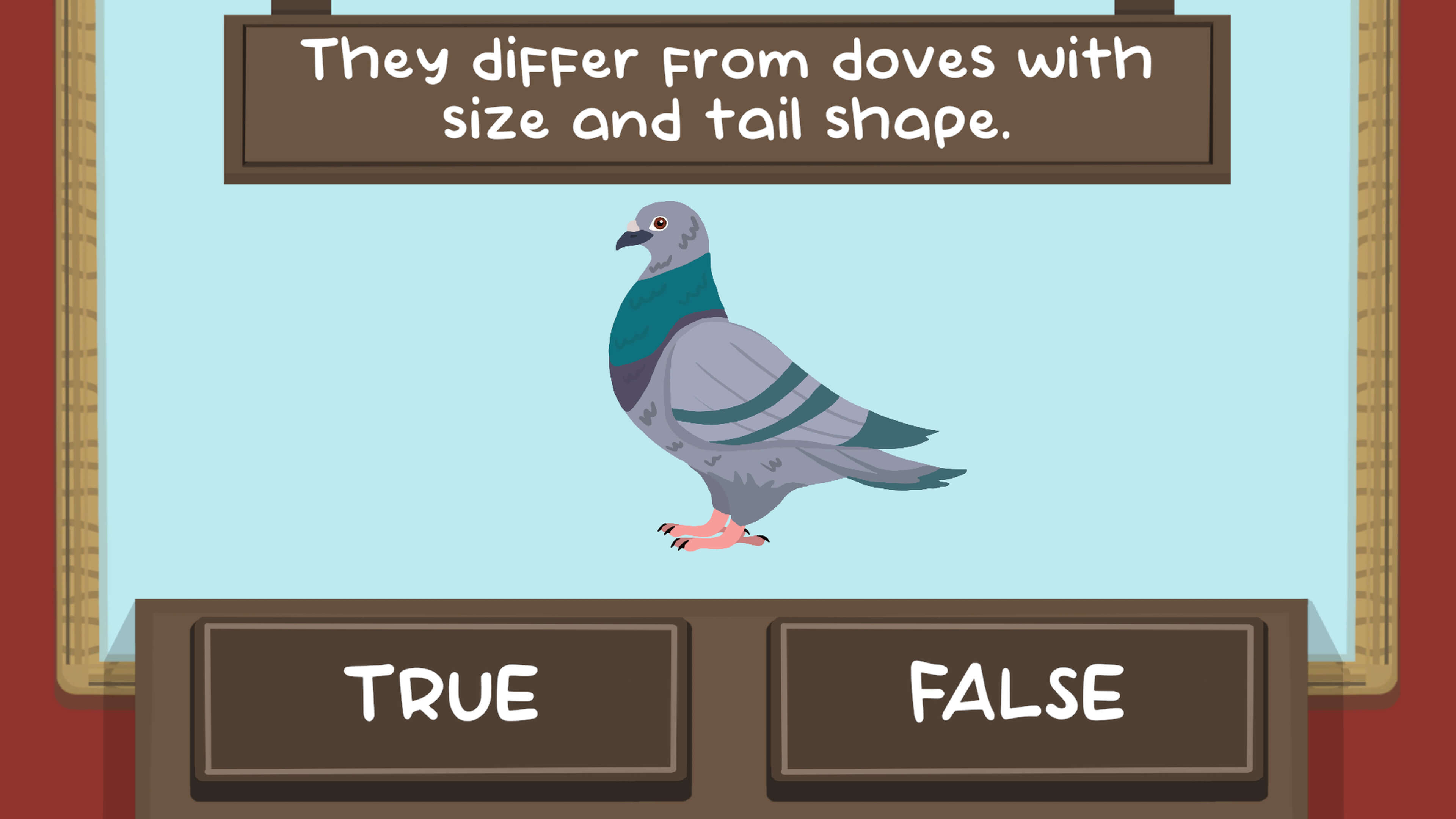 The Pigeon Quiz fun game with pigeon challenges