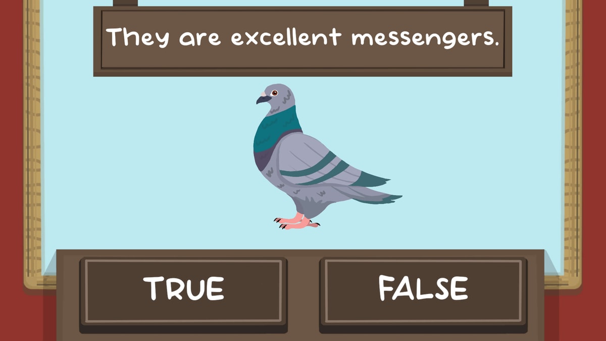 The Pigeon Quiz game showcasing pigeon fun