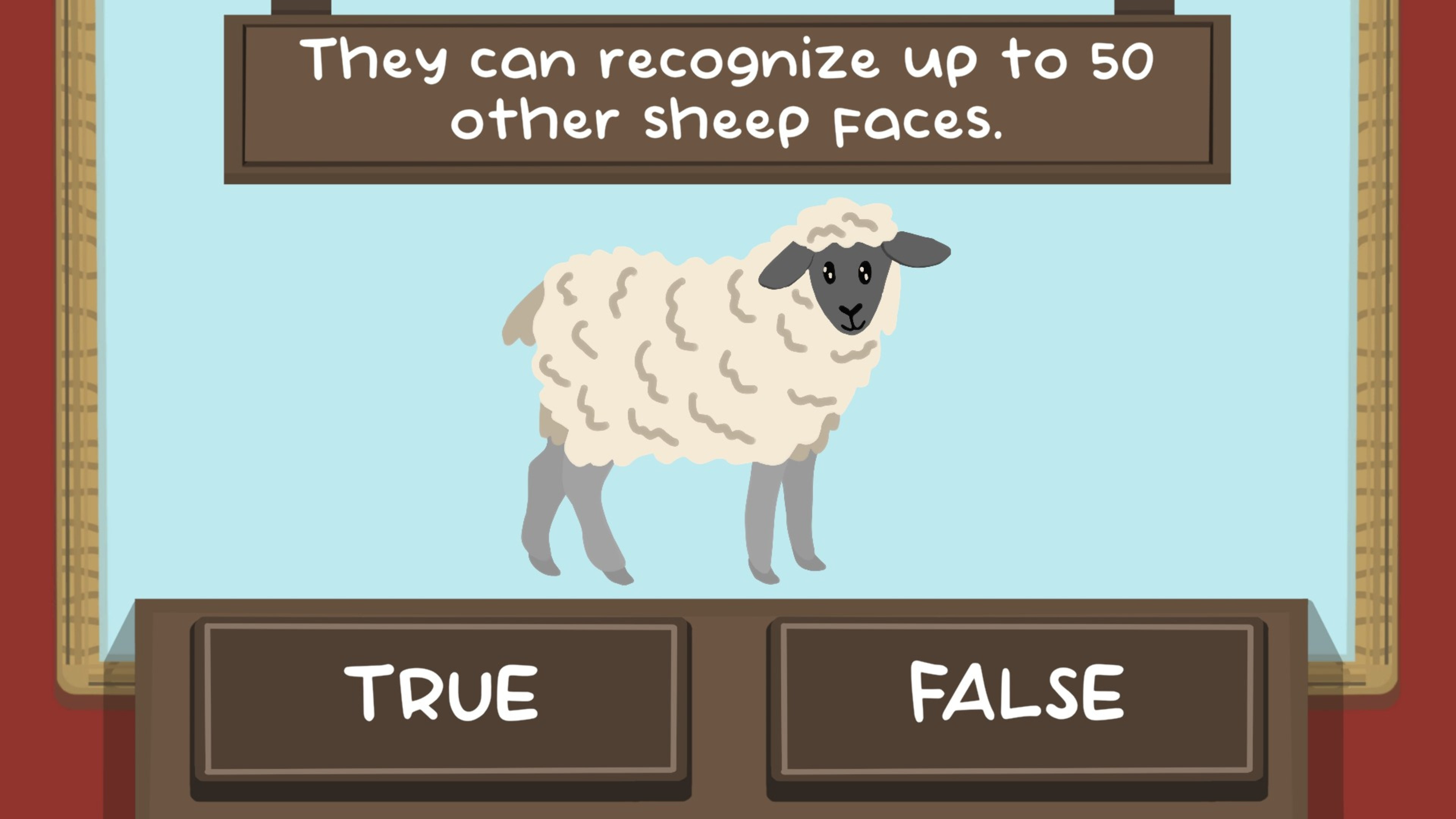 The Sheep Quiz interactive game featuring sheep