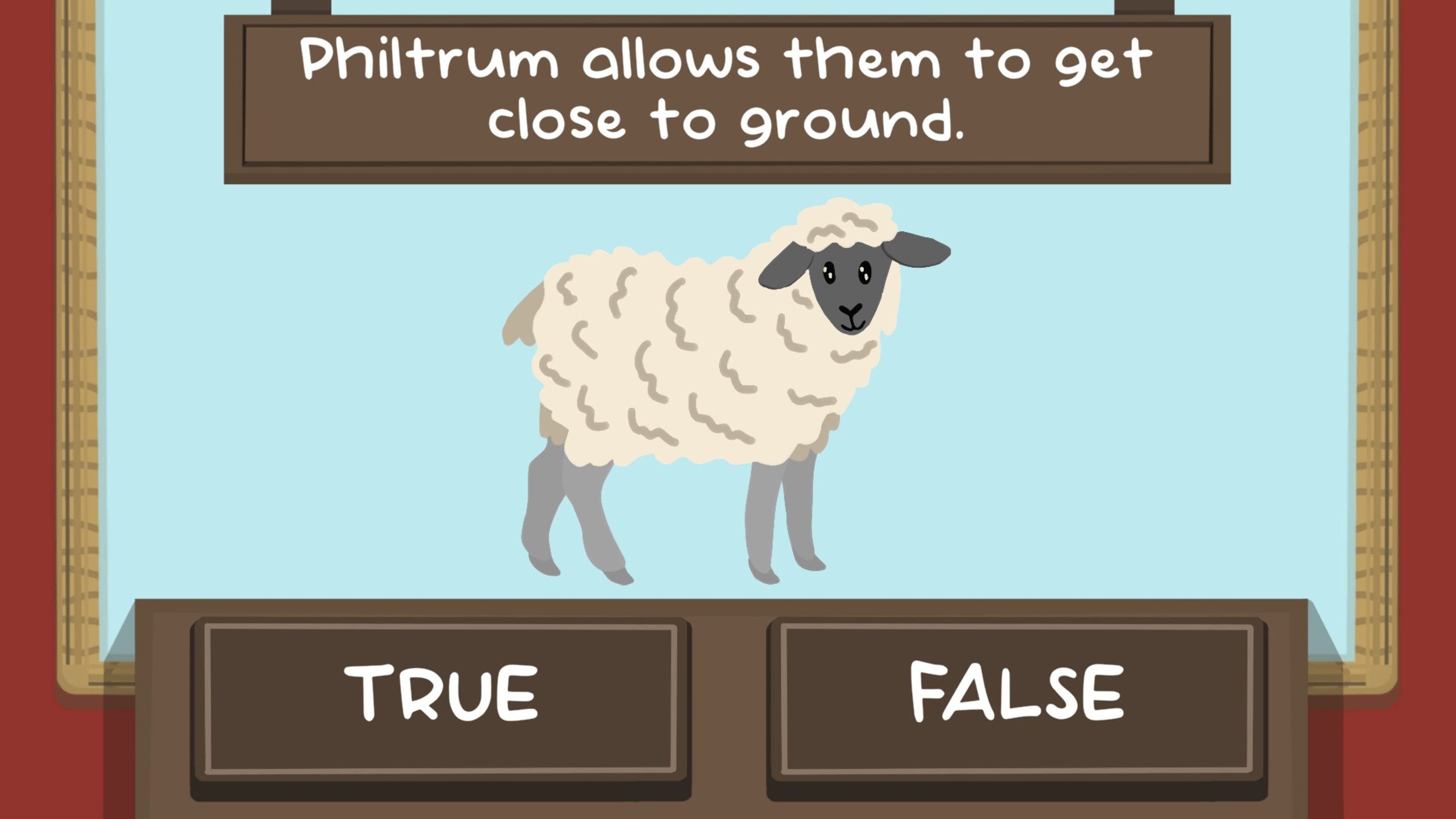 The Sheep Quiz fun game with sheep challenges