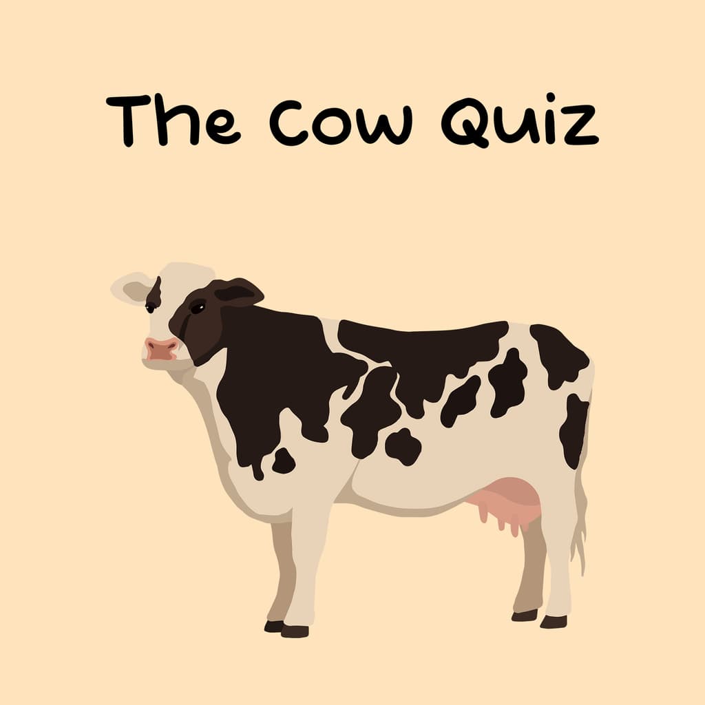 The Cow Quiz game - Test your knowledge with fun cow-themed quizzes.