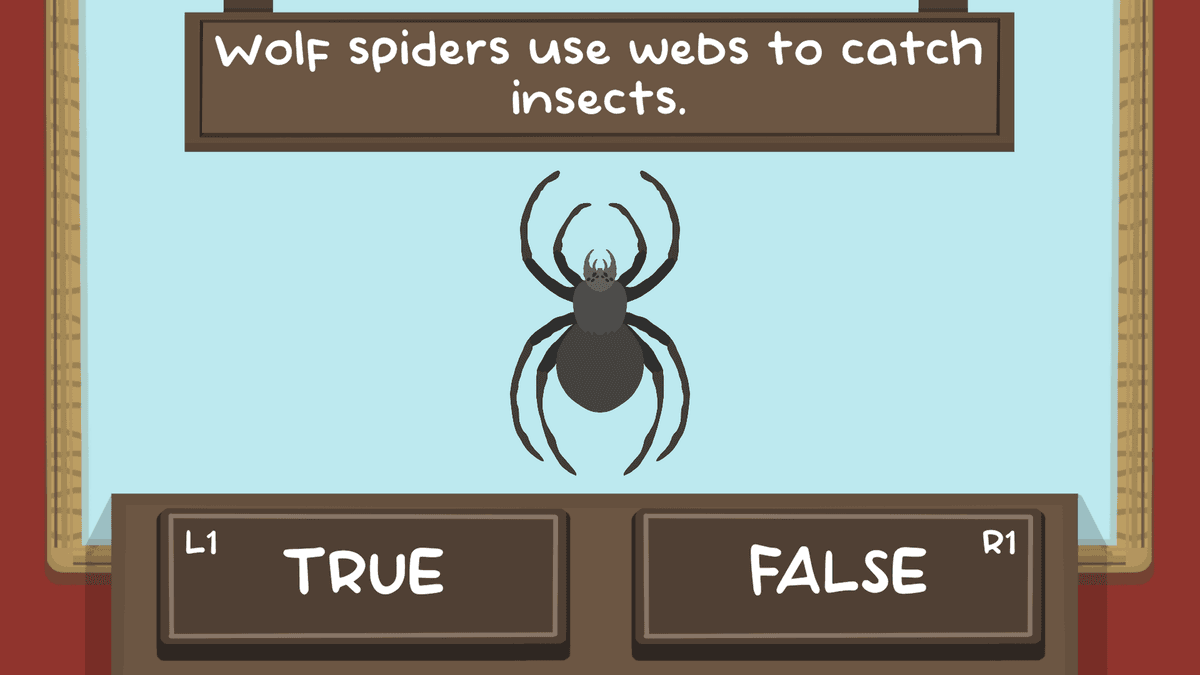 The Spidy Quiz gameplay featuring spider-themed quiz questions