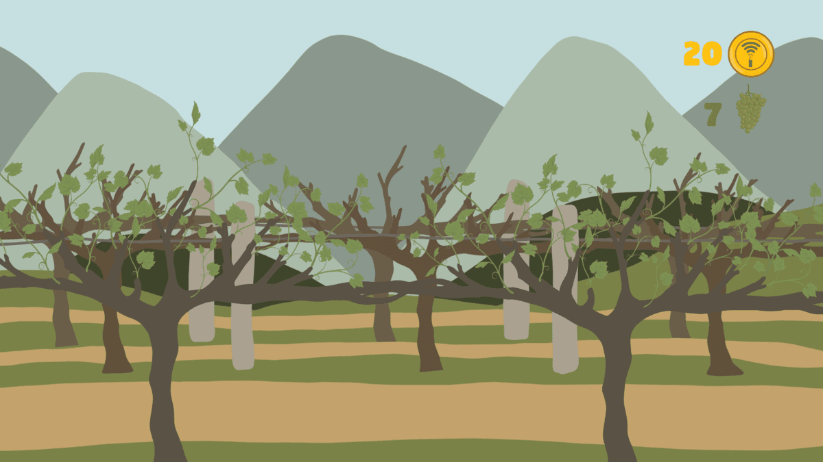 The Wine Story fun adventure featuring wine bottle